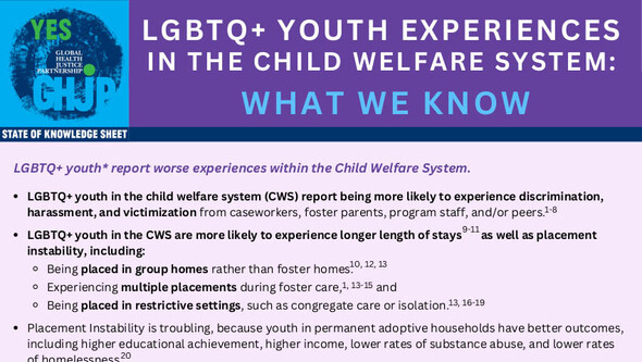 State of Knowledge Sheet 2 LGBTQ+ Youth Experiences in the Child Welfare System