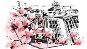 illustration of the magnolia tree at YLS